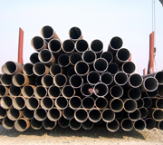 �o(w��)�p䓹�